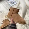 Avustralya Kadınlar Boot Tasarımcısı Tasman Snow Boots Moda bayanlar platformu Tazz Fur Terlik Klasik Mini Süet Koyun Dinili Yün Kış Ayak Bileği BOOTICE US 4-12