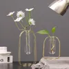 Vasen Nordic Light Luxus Geometrische Eisen transparent Glashydroponische Vase -Dekoration Wohnzimmer Blume Arrangement Home