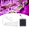 Grow Lights Regolabile Alta Luminosità Portatile Sicuro Per Piante Da Interno