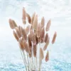 الزهور الزخرفية 15pcs العشب المجفف pennisetum ذيل القش الطبيعي النباتات الرعوية المنزل ديكو