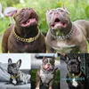 Dog Collars Leashesステンレス鋼チェーンカラーとリーシュスーパーストロングメタルチョークシルバーゴールドペットリードロープパーティーショー