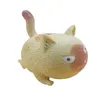 Angry Cat Squishy Stress Relief Toys Pincer Squeeze Bad Mood Soulager Jouets Cadeau Mignon Doux Fidget Toy