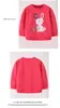 Autumn Children T-shirts Roupas Bordado coelho de coelhinho de coelho para crian￧as Garotas Cartoon Mangas compridas Pullover de pesco￧o redonda M4249