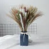 Dekorativa blommor lyxiga naturliga torkade pampas vass￤lskare gr￤s f￶r bohe hemblommor mittstycke arrangemang bordsdekoration och tillbeh￶r
