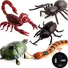 Electricrc dieren infrarood afstandsbediening kakkerlak simulatie dier griezelige spider bug prank fun rc kinderen speelgoed cadeau hoge kwaliteit druppel 221201