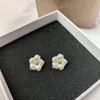 Boucles d'oreilles Stud Luxury Brossed Fleur argentée pour les femmes 2022 French Designer Jewelry Gift Birthday