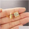 Stud Fashion Women Heren Stusd oorbellen Micro -instelling CZ Stone Square Stud -oordingen Bling Punk Wedding Gift voor vrienden Drop levering J Dhon8