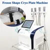 Cryoterapia chłodzenie EMS Suze tłuszcz Zmniejsz maszynę 4 płytki kriopolizne Krytypoliza Kształtowanie ciała