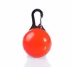 Colliers de chien Multi couleurs LED pendentif pour animaux de compagnie lumière colorée clignotant collier lumineux fournitures lueur étiquette de sécurité SN405