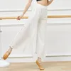 Stage Wear Adult 2 Layered Chiffon Belly Dance Palazzo Pants Split Wide Leg Trousers Costume For Women Practice Dancing Clothes Dancer