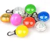 Colliers de chien Multi couleurs LED pendentif pour animaux de compagnie lumière colorée clignotant collier lumineux fournitures lueur étiquette de sécurité SN405