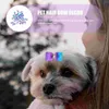 Dog Apparel 25pcs Puppy Headdress Delicate Rubber Band Bows Creative Cat Hair Ropes Decorative For Daily Outdoor Party