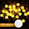 Garden Decorations Waterproof Lantern Solar String Fairy Lights 65M 30 LED Outdoor Garland Patio Light Power Lamp Christmas for Decor 221202