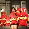 Китайский стиль Tang Suit кролик плюшевый мягкий костюм Lucky Fortune Bunny Fucked Tancot Doll Toys for Kids Рождественский новый год подарок