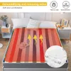 Electric Blanket Euro Heated Double Thermal 150 180cm Adjustable Warmer Heating Drop 221203