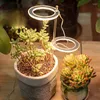 Cultiver des lumières lumière LED spectre complet Phyto lampe USB Phytolamp pour plantes végétales 5V éclairage de croissance plante d'intérieur