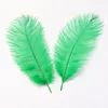 25-30 cm Fleur décorative Autruche Feather Feather Fournitures d'artisanat de mariage Événement de fête de fête de fête