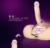 Anal hook sm Sex Toys For Couples torture device metal backcourt plug sex toy G-spot men