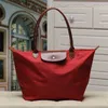 Nytt franskt toppläder Longxiang Bag Women039S nylon Långhandtag Dumpling Folding Tote1547211