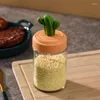 F￶rvaringsflaskor 1 st kaktus k￶k s￤song burk salt tank smakl￥da kryddor flaska med sked lock transparent glas