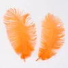 Party decoration natural ostrich hair hotel window wedding table flower decoration dyed wholesale 25-30CM