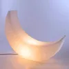 Lampade da terra Nordic Outdoor Impermeabile Crescent Moon Lampada da terra Soggiorno Sala da pranzo Pografia Moderne luci a LED Illuminazione per interni