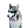 Hundebekleidung, Haustierzubehör, Sonnenbrille, Schutzbrille, faltbar, winddicht, Sonnenschutz, mittlere und große Brille