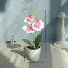 Decorative Flowers Plastic Basin Phalaenopsis Bonsai Artificial Creative Ornaments Indoor Decoration Vase Office Decor Pots Fall