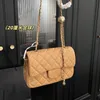 CC Cross Body 17 / 20C Lambskin Square Flap Crush Ball Designer Bags Classic Diamond Quilted Hardware Chaîne en cuir Crossbody Purse Vanity Sacs à main de luxe Multi P