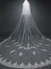 2023 Latest 3m Long Wedding Veils 2 Layer with Applique Bridal Veil Wedding Accessories