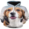 Sweats à capuche pour hommes Sweat-shirts pull ample imprimé en 3D chien noir pur