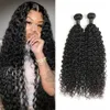 Malese Remy Hair Water Wave 2 Bundles Trame di capelli umani 8-26 pollici Grado 9A