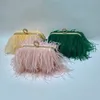 Evening Bags Luxury Ostrich Feather For Women Chain Shoulder Crossbody Bag Tassel Party Clutch Purse Green Wedding Handbags 221203