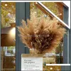 Fiori decorativi Ghirlande Pampas Erba Pensatore Pennacchio Mazzo di fiori Piccole decorazioni per matrimoni Home Ornamenti vegetali naturali di canna reale 544 Dh0So