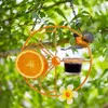 Inne zaopatrzenie ptaków 3PCS Picie miski dla ptaków Pijuszki Akcesoria ogrodowe Woda dozowca Work Wystrój okno Automatyczne dzikie swing drzewo