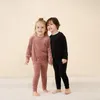 Family Matching Outfits fall winter velour family matching set dress and romper clothes 221203