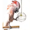 Другие птицы поставляют домашних животных попугай для кормления пищи кормления пищевой кормление колокольчика шариковая клетка для кормления игрушки для творческих птиц аксессуары для птиц