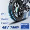 EU/US Warehouse Mountain Mountain Electric Bicycle 20 Inch Fat Tyre 750W Engwe EP-2Pro 48V13A 45 km/H Elektrische fiets