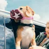 Coprisedili per auto per cani Museruola antiabbaio per cani di piccola taglia Museruola regolabile per bocca di gatto Cinghie di nylon Accessori per animali domestici Goccia