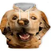 Sweats à capuche pour hommes Sweat-shirts pull ample imprimé en 3D chien noir pur