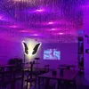 Parti Dekorasyonu Yıldızlı Optikcal Fiber Light String Düğün Tavan Centerpieces Bar KTV Etkinlik Sitesi Düzeni