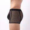 Sous-pants 2022 Sexy Mesh Men's Pantes Boxer Hollow G-string Voir à travers la tentation des sous-vêtements Lingerie érotique à faible taille