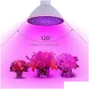 Growat Lights Wzrost Rośliny Światło SMD 2835 LED Greenhouse BB AC85265V E27/E26 dla owoców i warzyw Lights Dostarczanie Lights w otoef