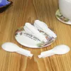 5000pcs Disposable Plastic White Scoop Folding Spoon Ice Cream Pudding Scoop With Individual Package SN419