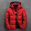 Heren down parkas winter warme heren jas jas casual herfst stand kraag puffer dikke hoed witte eend parka mannelijke heren winter down jas met kap bf 221206