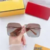 Polaroid Vrouw Zonnebril Designer Zomer Rijden Zonnebril Heren Luxe Ontwerpers Zonnebril Full Frame Brillen Vrouwen F Eyewear Met Doos