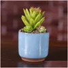 Planters Pots Ice Crack Flower Pots Succent Garden Plants Pot Mini Thumb Desk Office Flowerpots Ceramic High Quality 3 Ty Bvkk Dro Dhiae