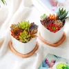 Multi Bambu Tray Wood Saucer Flower Pot Tray Cup Pad Coaster Plate Kitchen Dekorativ tallrik Creative Coaster Cohace Cup Mat