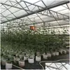 Planters Pots 11 حجم أكياس نباتية غير منسوجة قابلة لإعادة الاستخدام ناعمة عالية التنفس أواني زراعة حقيبة مع مقابض سعر زهرة كبيرة dhfmt