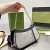 2022 Women Shoulder Crossbody Bags Lady Coin purse Messenger Bag Designer Chain Handbags Phone Wallets backpack female purse 2 color